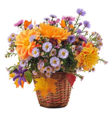 Flower All In Blooms Florist Autumn Bouquet Roses